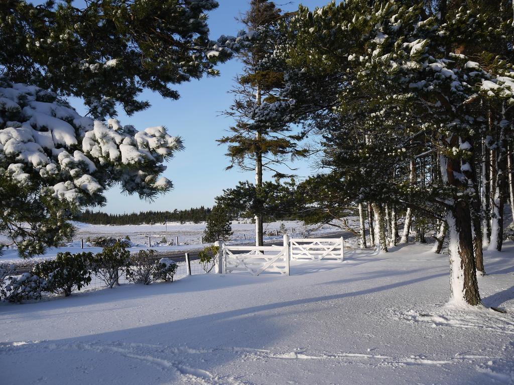 Dava School House Bed & Breakfast Grantown-on-Spey Екстериор снимка