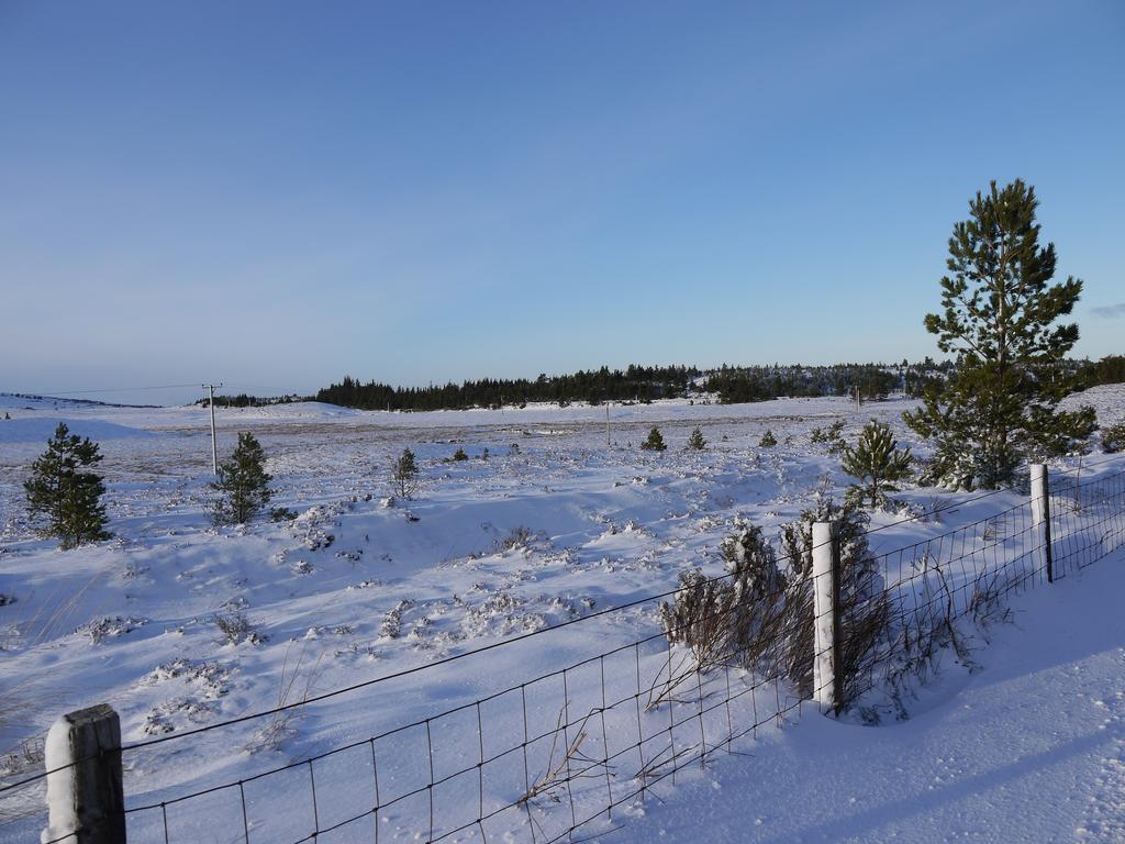 Dava School House Bed & Breakfast Grantown-on-Spey Екстериор снимка