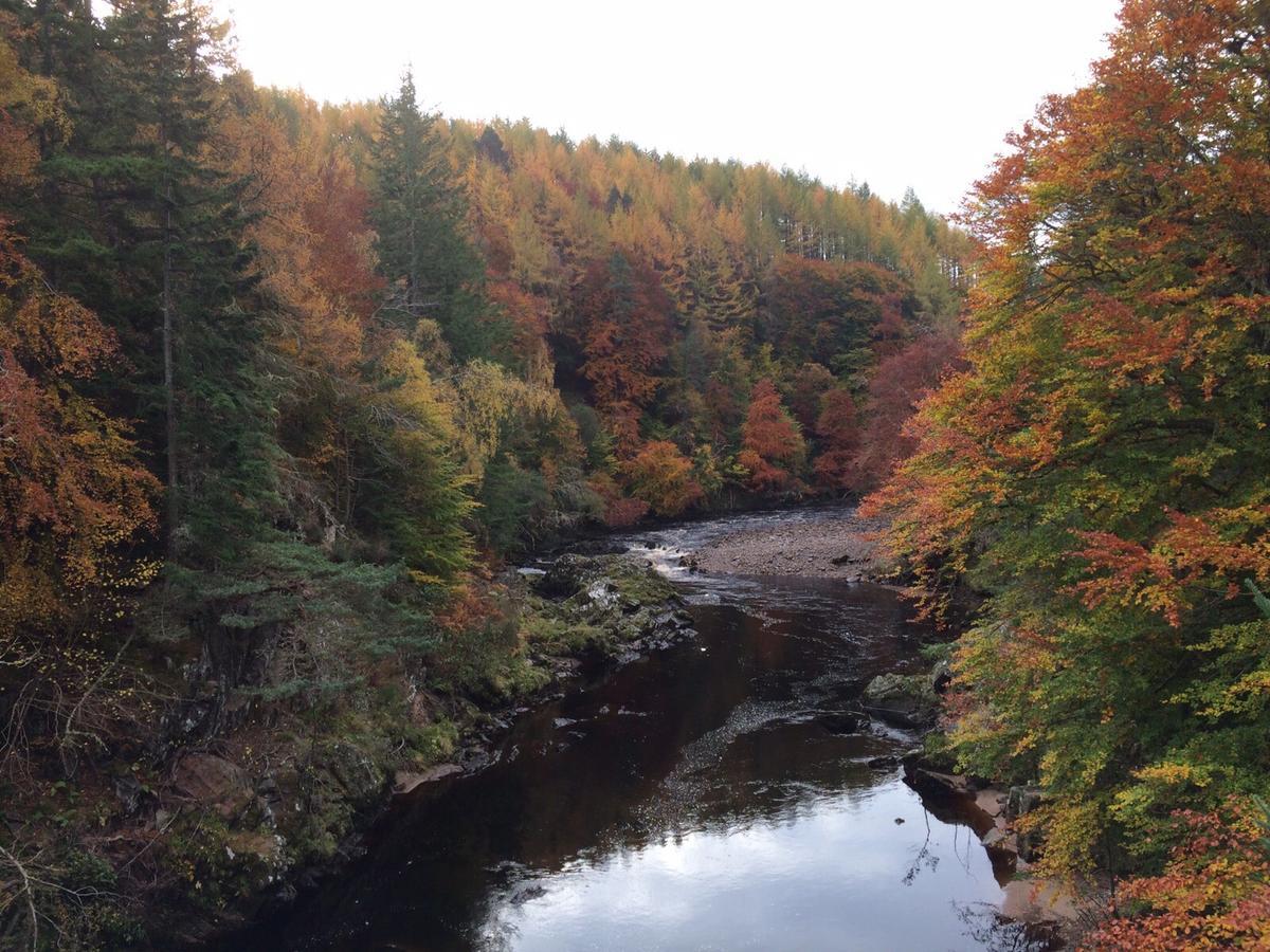 Dava School House Bed & Breakfast Grantown-on-Spey Екстериор снимка